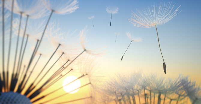 ein treuer Begleiter / AdobeStock peterschreiber.media miteinander 7-8/26