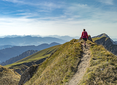 nice senior woman, hiking in fall, autumn  on the ridge of the Nagelfluh chain near Oberstaufen, Allgaeu Area, Bavaria, Germany, Hochgrats summit in the background