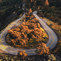 rowena crest road in oregon