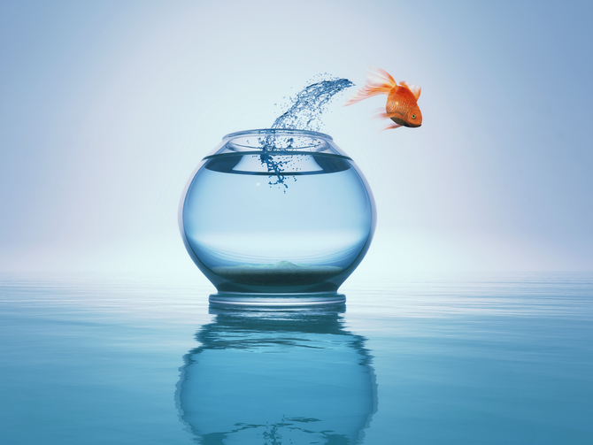 goldfish jump from bowl to the sea. This is a 3d render
